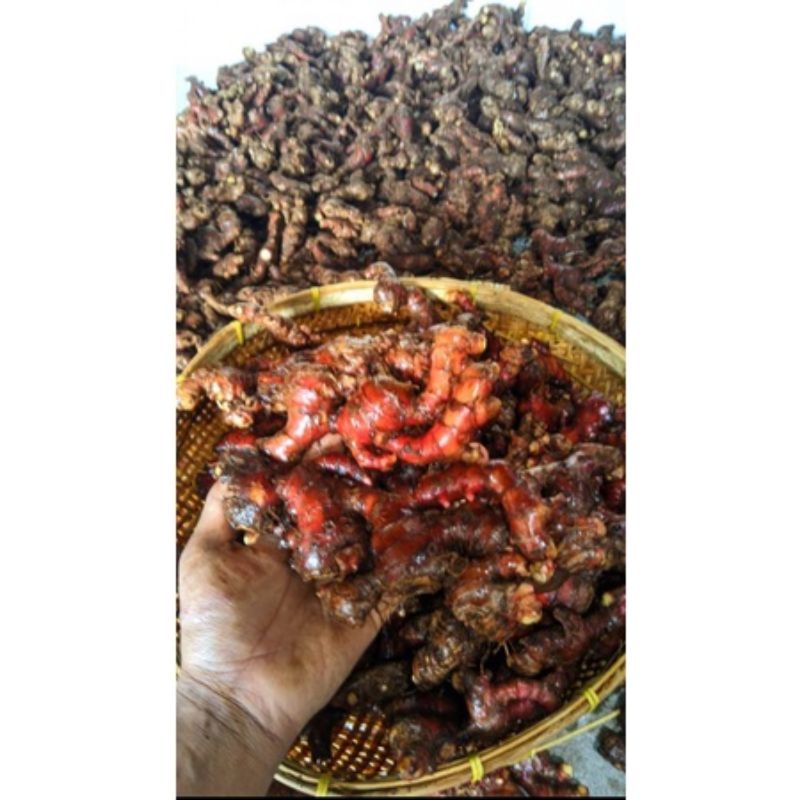 

JAHE MERAH MURAH 1 KG (SUDAH DI CUCI)