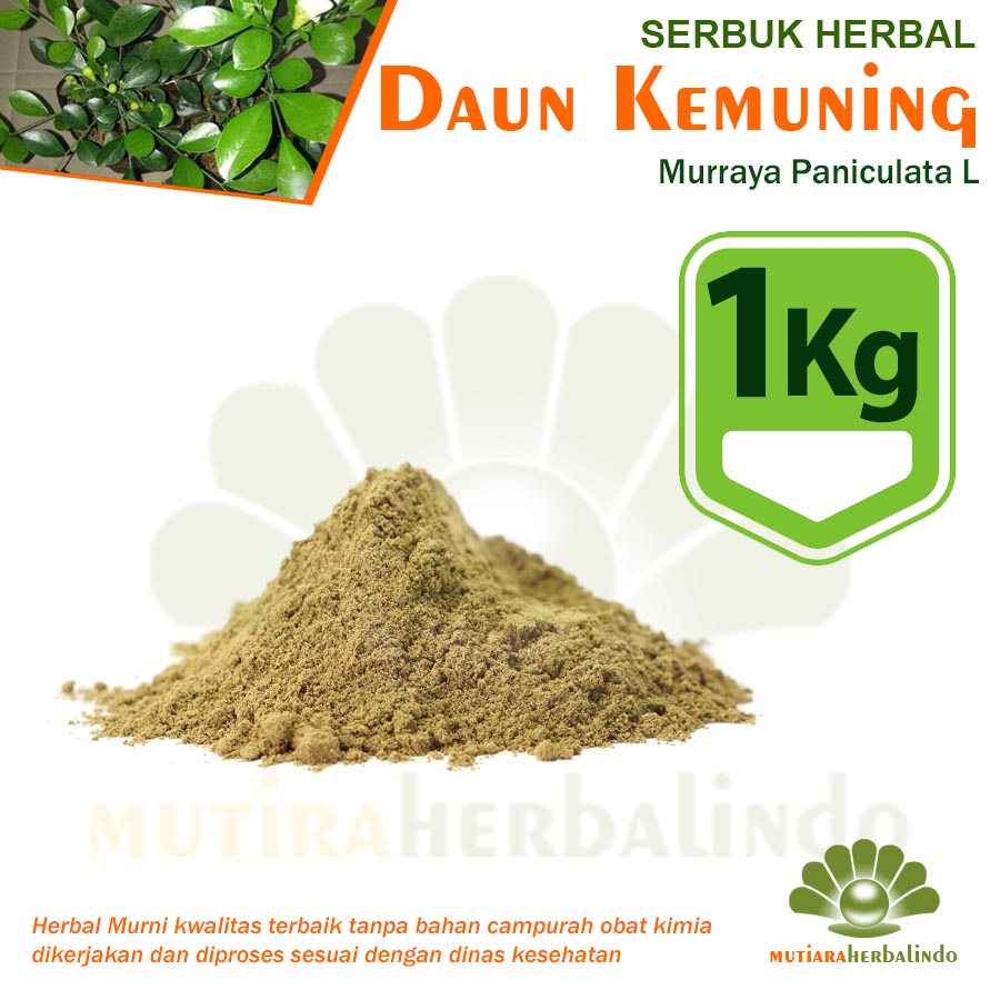 

1KG Bubuk DAUN KEMUNING Herbal Penurun Kolesterol Menghaluskan Kulit