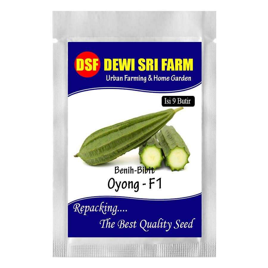Oyong F1 - ±9 biji Benih Bibit Unggul Oyong F1