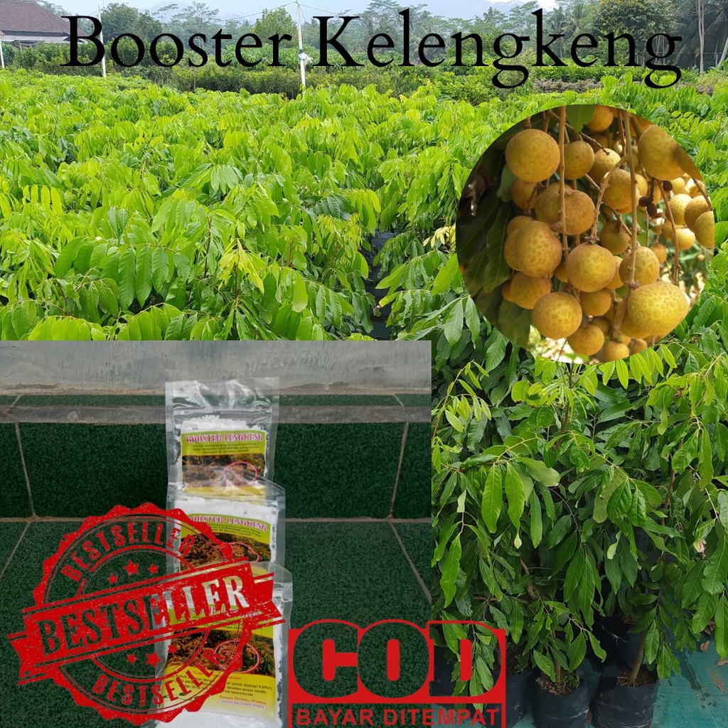 BISA COD  Booster Kelengkeng 1kg / Booster Kelengkeng Potasium Chlorate / Booster Kelengkeng Itoh