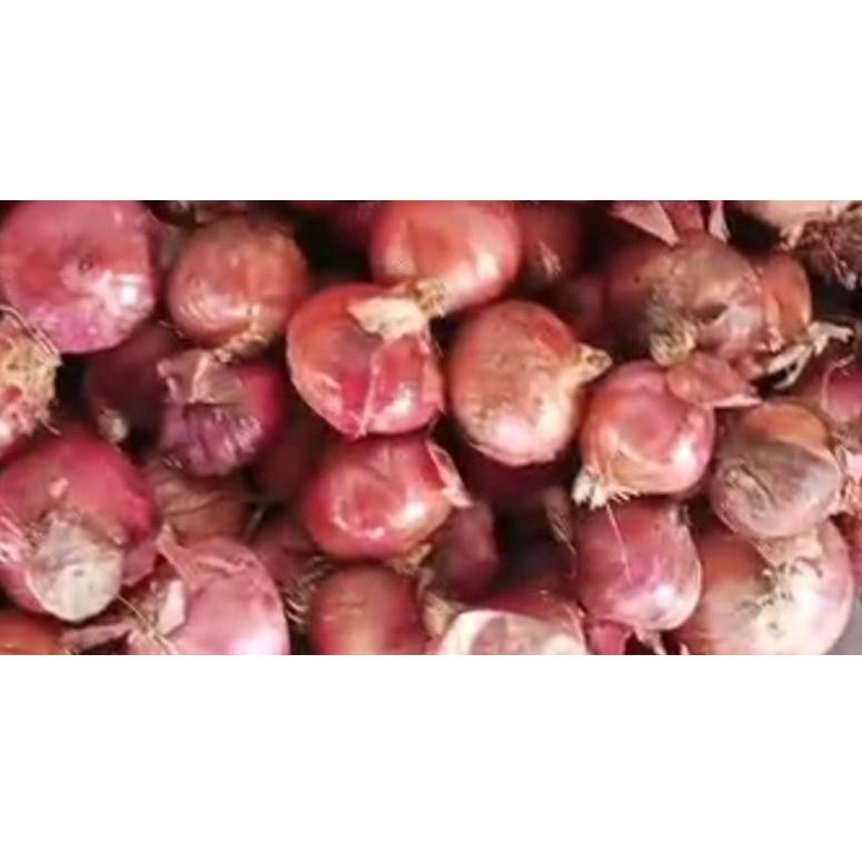 

ㅇ bawang merah pakistan kecil import 1kg (bukan india) ☮