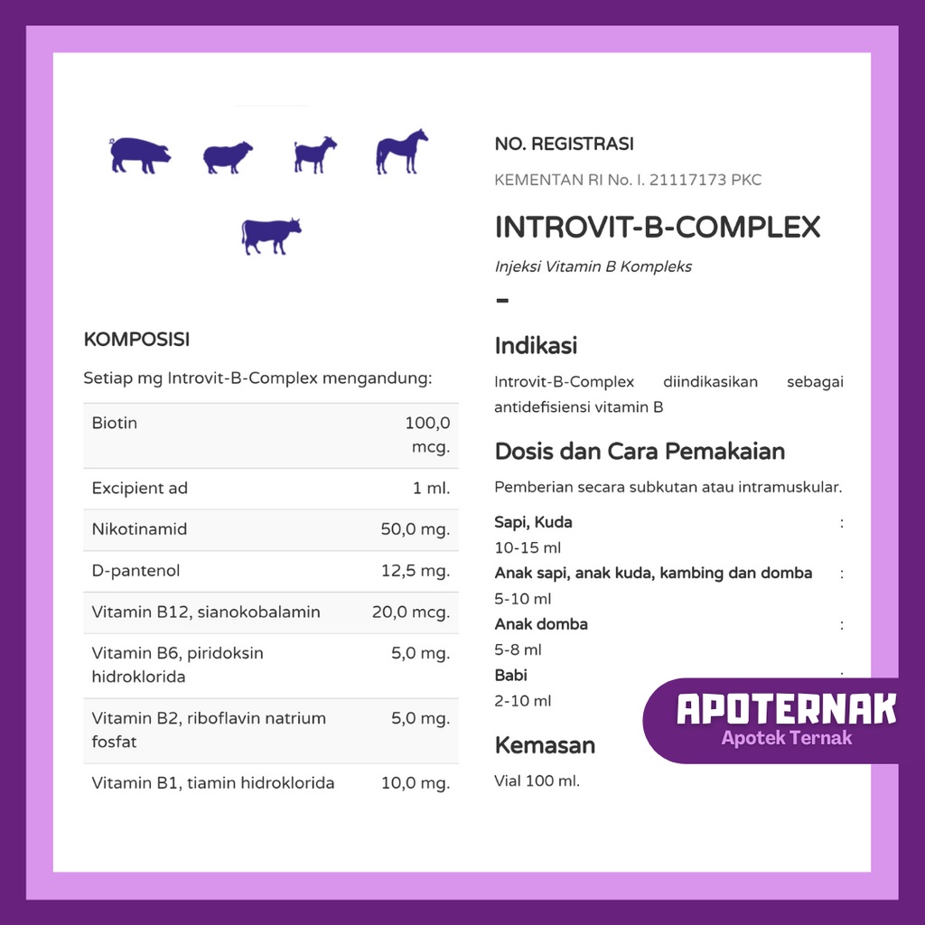INTROVIT B COMPLEX | Vitamin B Komplek Konsentrasi Tinggi + Biotin | 100 mL | TMC | Apoternak