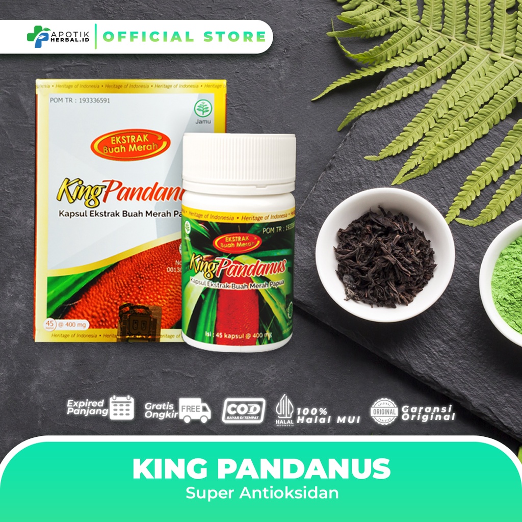 OBAT KANKER DIABETES HIV | KING PANDANUS | ANTIOKSIDAN | BUAH MERAH PAPUA