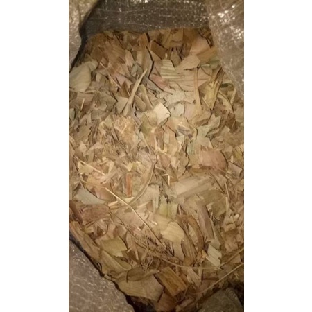 DAUN BAMBU KERING