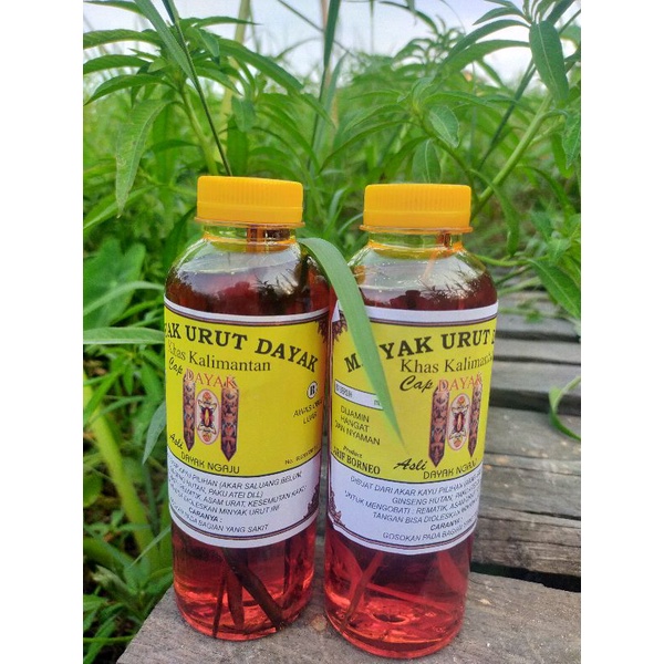 

Ainulhaqiqoh Minyak Urut Dayak Obat Herbal Sakit Pinggang Syaraf Kejepit Benjolan kesemutan kaseleo Masuk Angin Saraf Kejepit 250ml