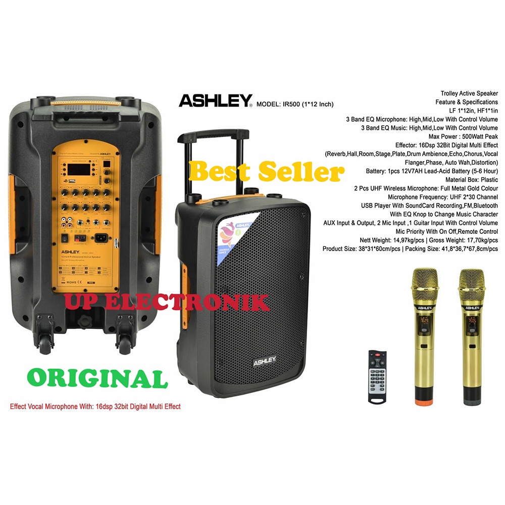 Speaker Ashley IR500 500 Watt multi Effecks Karaoke ASHLEY IR500 12''