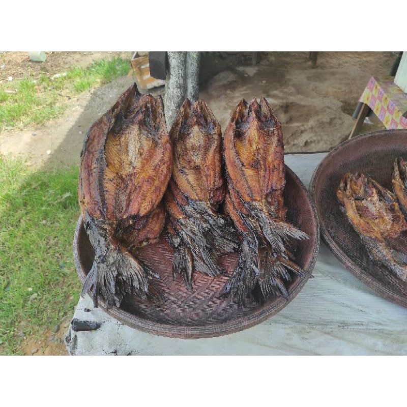 

IKAN SALE BAUNG (500gr)
