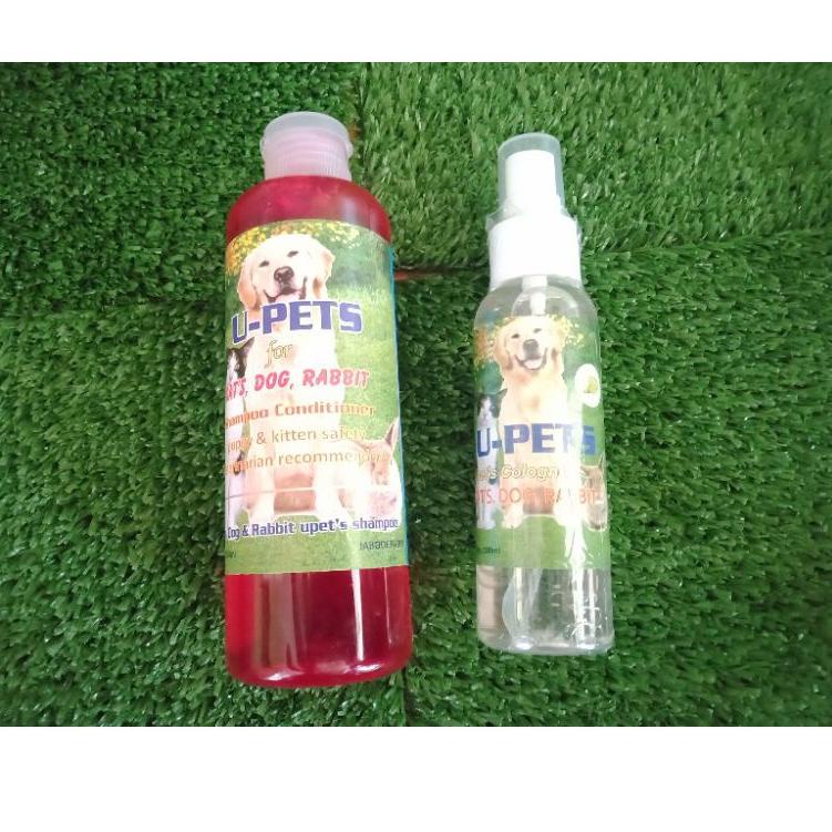 

10.10 SALE paket hemat 20 buruan