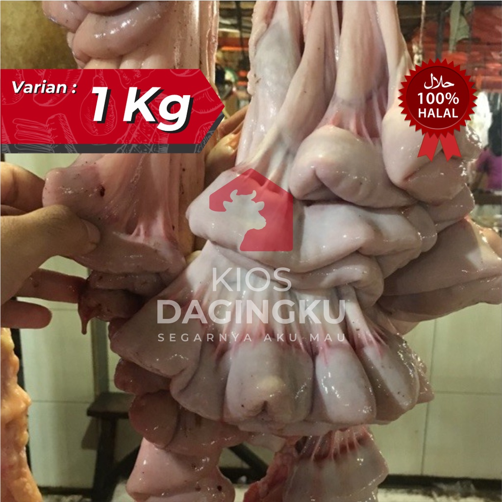 Usus Sapi Mentah / ISO Sapi @1Kg
