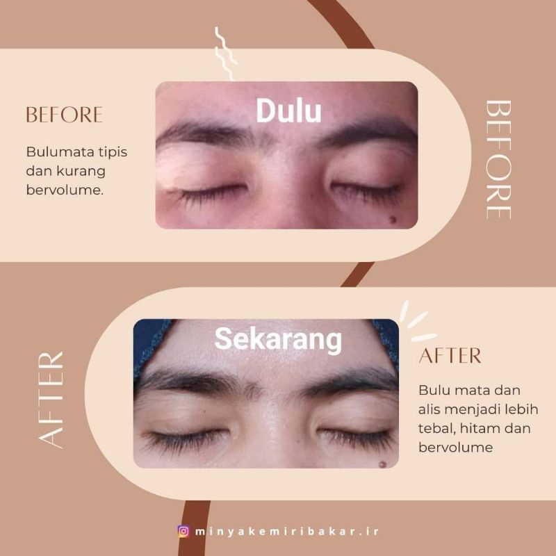 MINYAK KEMIRI BAKAR IR