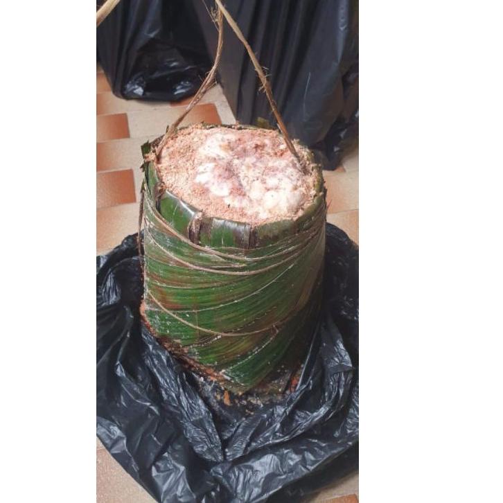 

Sale Sekarang--Sagu Papeda / Sagu Mentah Asli Ambon (Harga per kg)