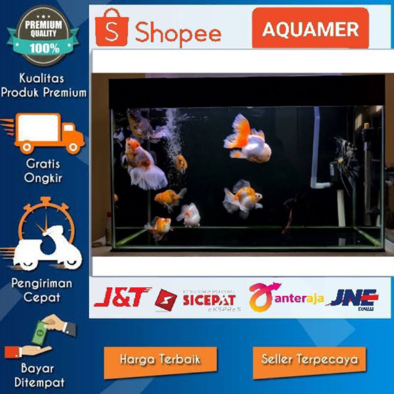 latar belakang hitam akuarium / background aquarium hitam  aquascape