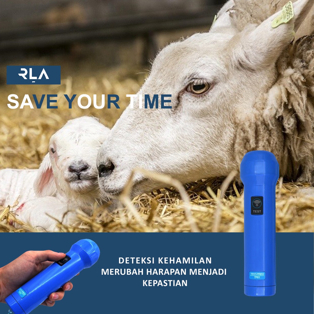 Alat Deteksi Kehamilan Domba - Check Cek Kebuntingan - Peralatan Hewan - USG - Ultrasound - Test - B