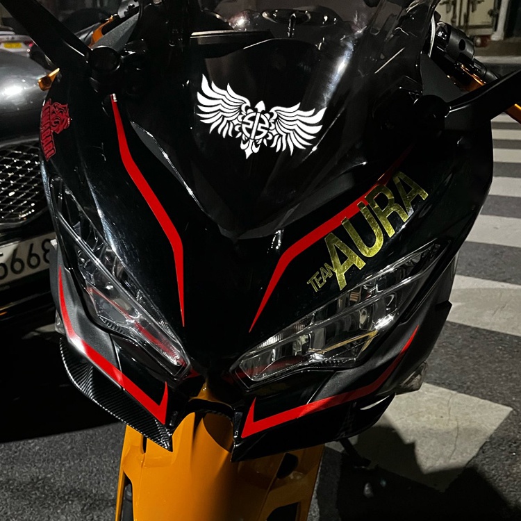 Logo Emblem Sepeda Motor Lencana Lencana Logo Sayap Stiker Reflektif Fairing Kepala Helm Dekoratif Modifikasi Decal Untuk Kawasaki