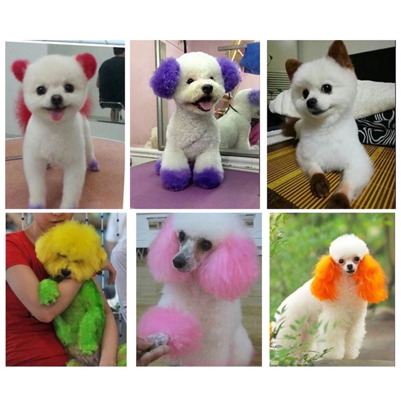 Semir Warna Rambut Bulu Anjing Kucing Pet Hair Coloring Aman Cat Dog Colouring