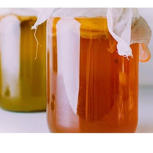 

Langsung Order Ⓜ Bibit Scoby Jamur Kombucha / Jamur Dipo Organik``