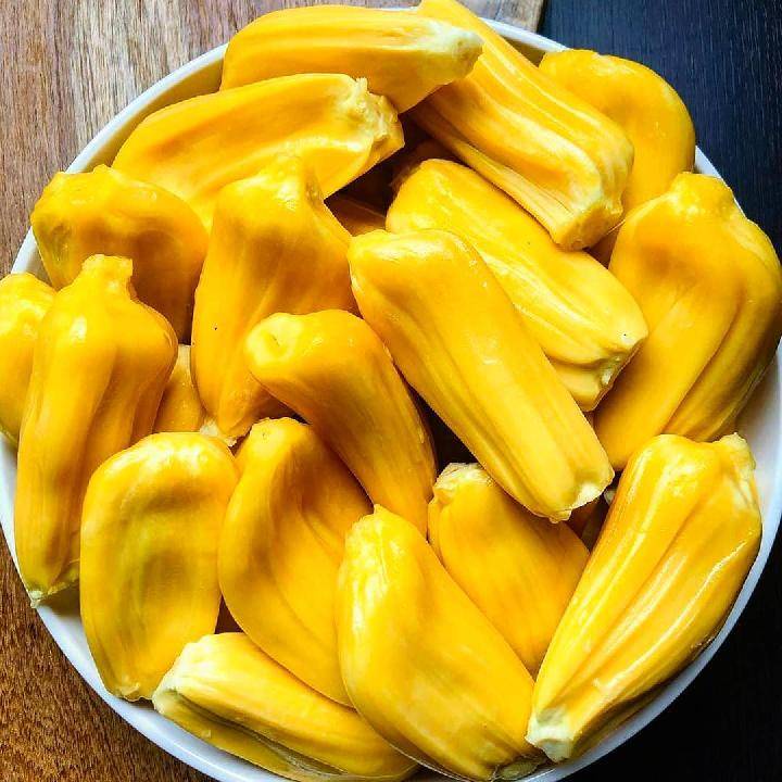 Jual Bibit Nangka Madu 1 Meter Batang Besar Shopee Indonesia