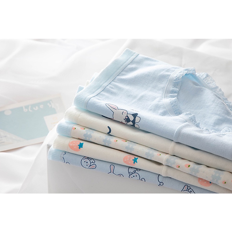 HUES.ID Celana Dalam Wanita Motif Kelinci Mid Waist Student Briefs Water Blue Strawberry 2073