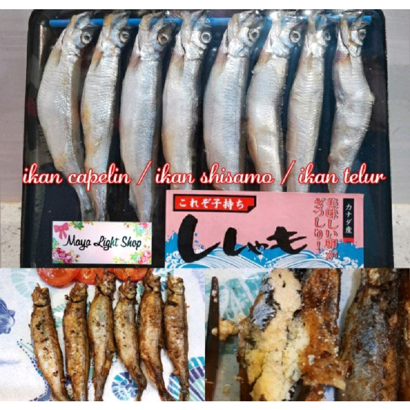 

Fish ikan capelin shisamo fish ikan telur egg fish roe omega vitamin halal promo enak