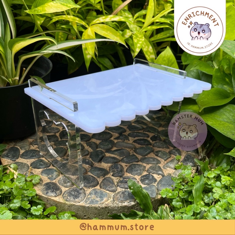 Platform Hamster Akrilik | Meja Akrilik Hamster | Meja Hamster | Acrylic Platform