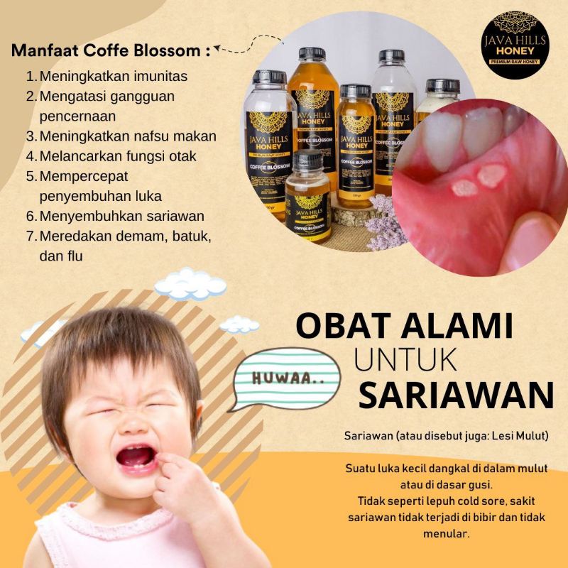

madu coffe blossom