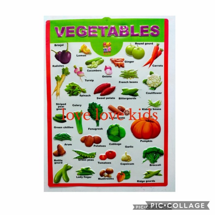 

Kusus Hari Ini Poster Timbul Edukasi Anak Sayuran Berkualitas