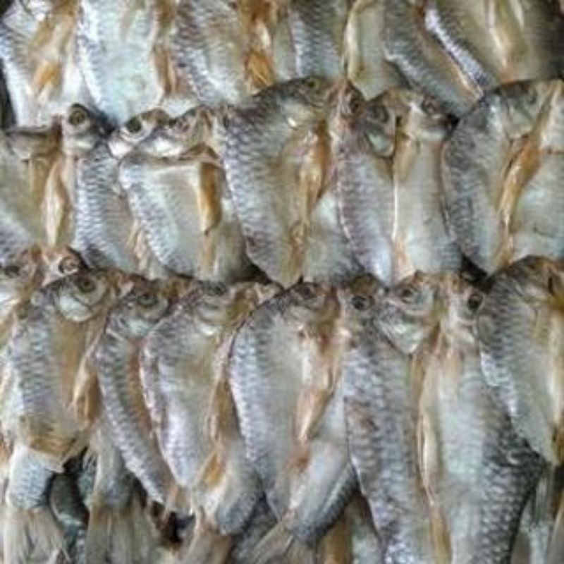 

Grosir Ikan Asin Tawes 100 gr