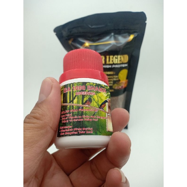 BisaCod GA 1000 shama  murai batu Free Voer legend