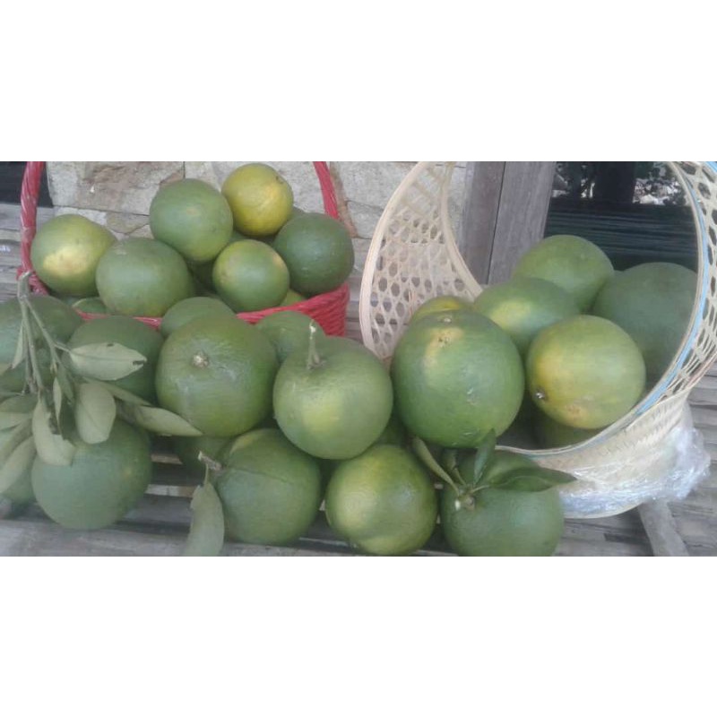 

Jeruk sunkis 20k 1kg