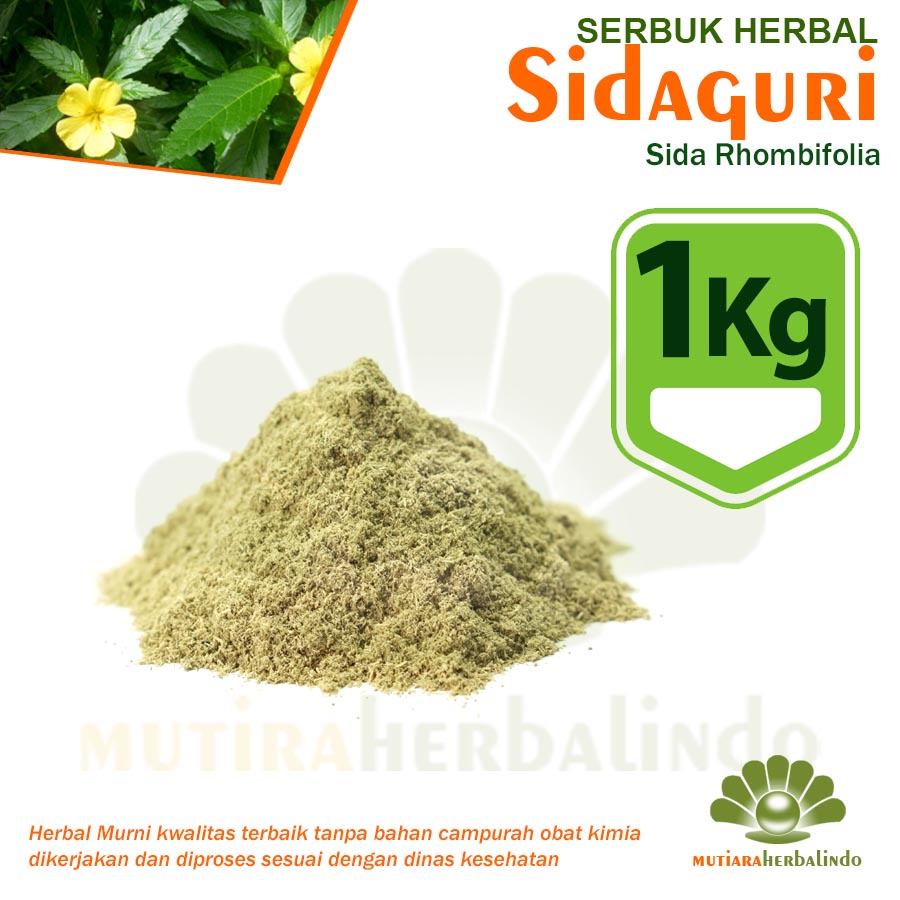 

1KG Bubuk SIDAGURI Herbal Penurun Berat Badan Gangguan Haid Sembelit