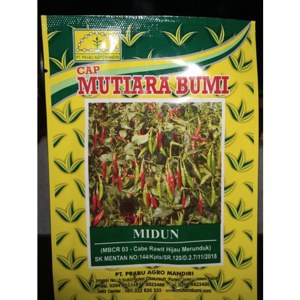 Benih Cabai Rawit Hijau MIDUN Merunduk CAP MUTIARA BUMI Kemasan 10 Gr