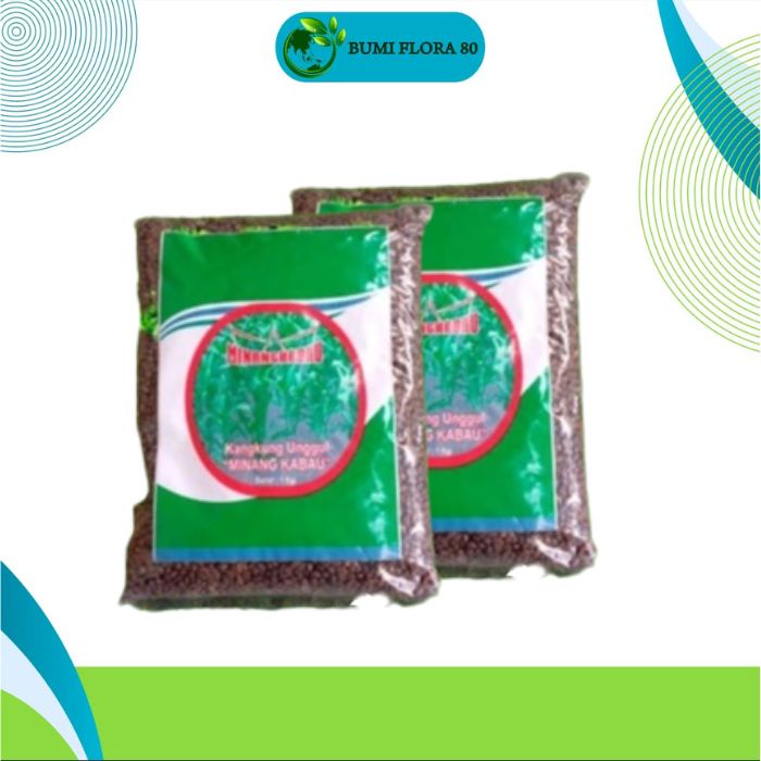 Bibit Kangkung Minang Kabau 1kg / Benih Kangkung