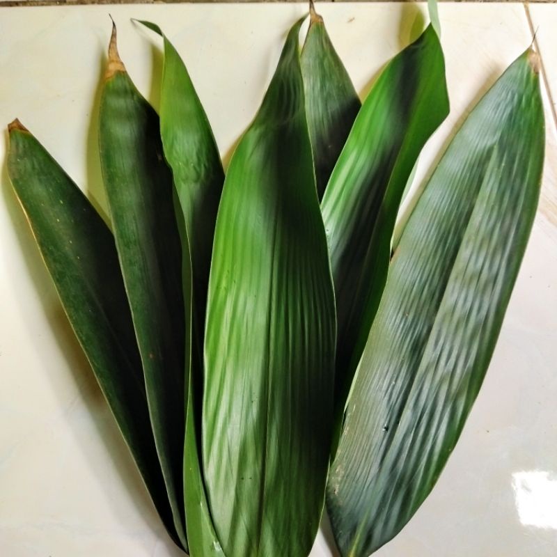 

Daun Bambu basah buat bungkus