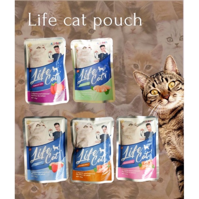 LIFE CAT POUCH MAKANAN BASAH KUCING LEMBUT BERGIZI