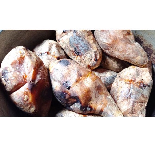 

Ubi cilembu oven 1kg