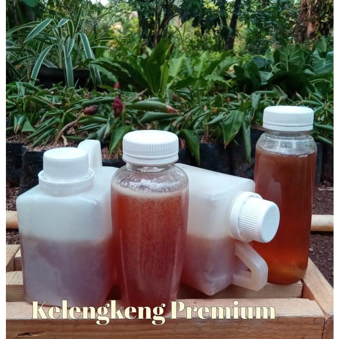 

TERBARU MADU KELENGKENG PREMIUM 500G PENGIRIMAN CEPAT