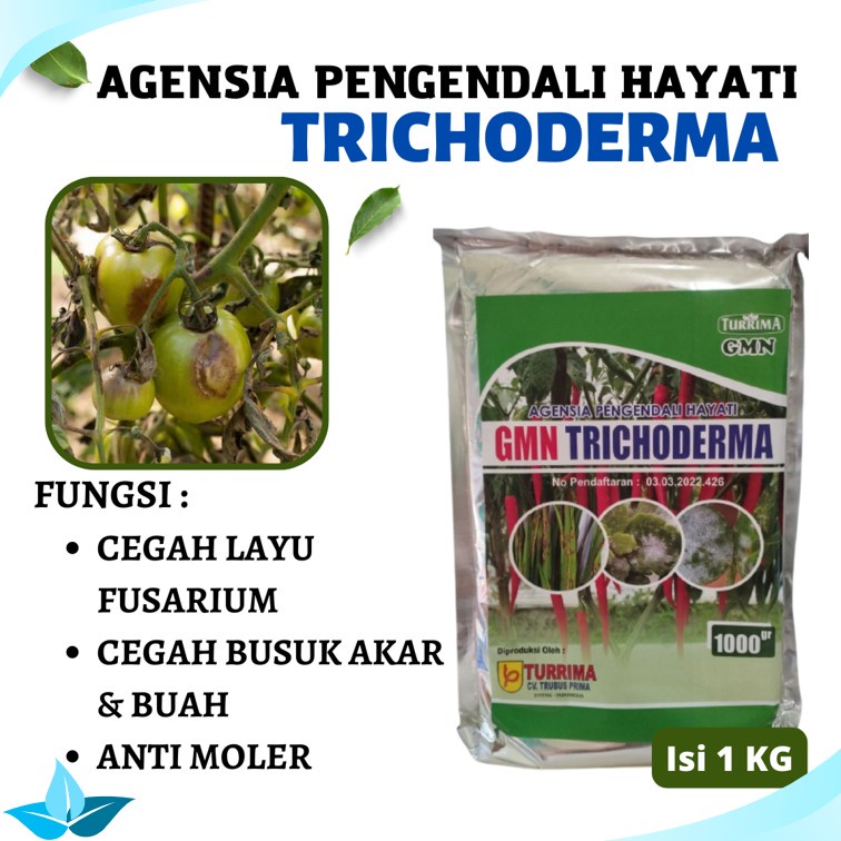 Pupuk Karet Getah Melimpah, Agensia Hayati Trichoderma Harzianum Untuk Tanaman Karet, Pupuk Hayati C