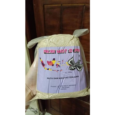 pakan walet si upin original