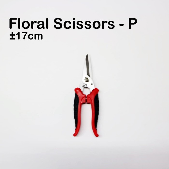 

Terlaris Gunting Bunga Seri P - Gunting Batang - Berkebun - Perlengkapan Floris Murah