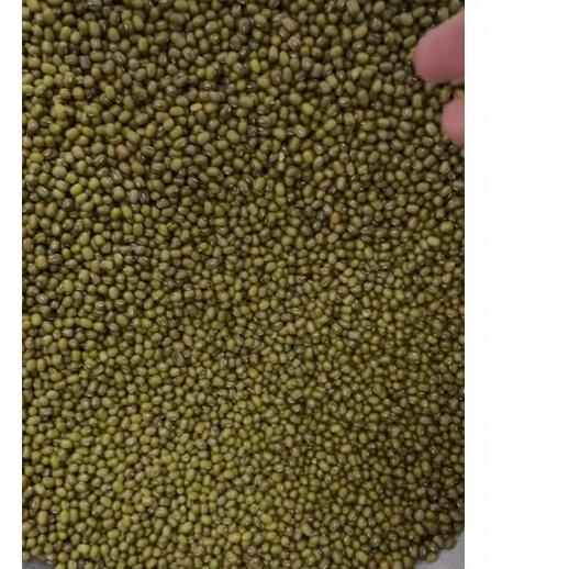 

codeG1s6R--1000gr Kacang Hijau - Green Mung Beans - Premium - Bersih