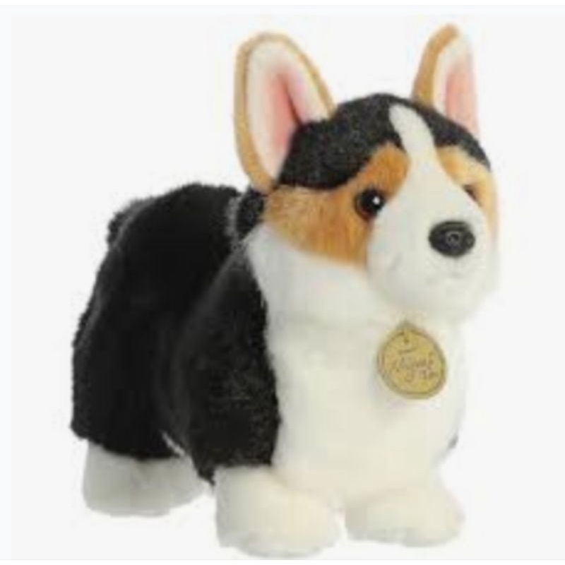 Boneka Anjing Corgi gembul