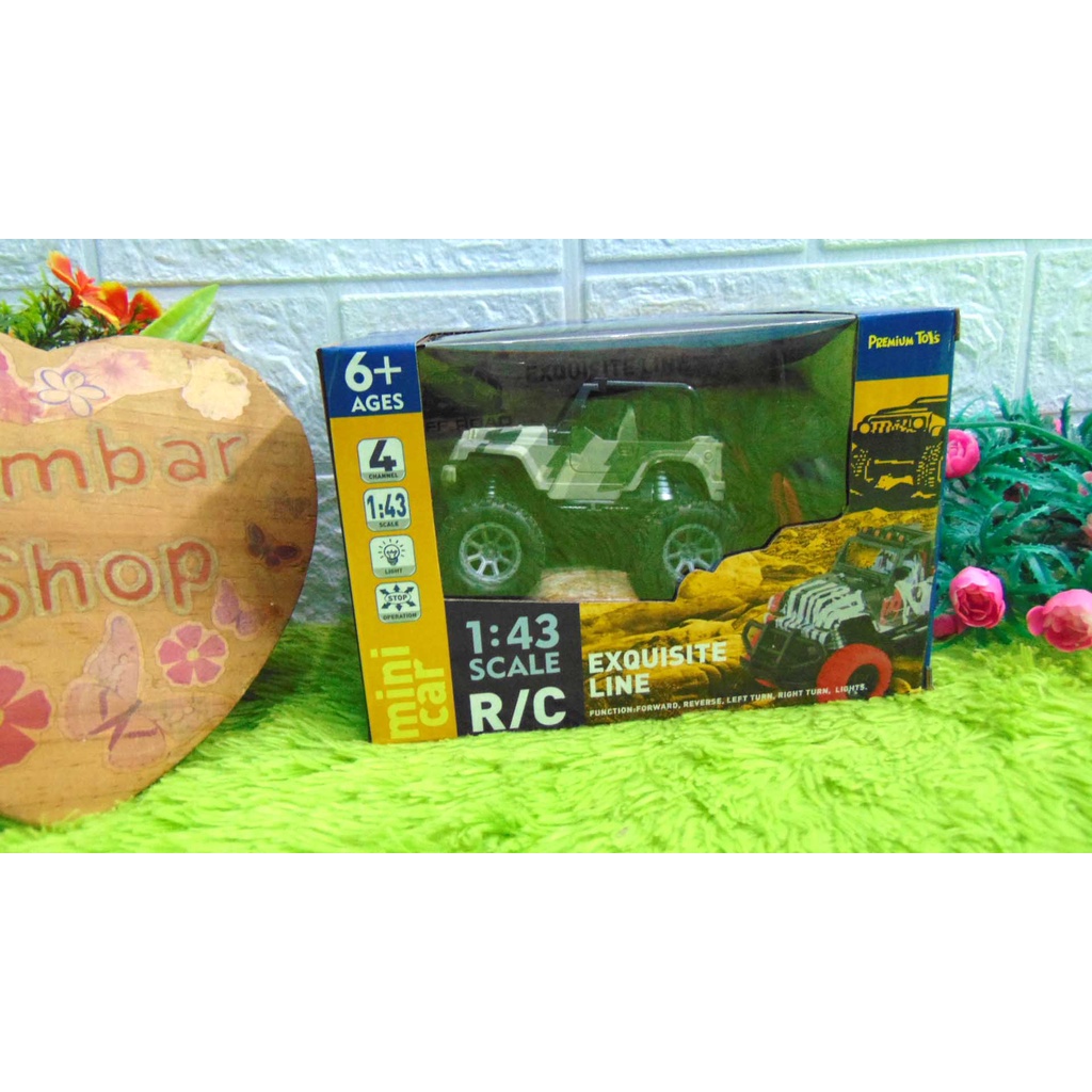 Pr-17492 Mainan Anak Mini Climber Mobil RC Remote Control Motif n Warna Random Murah
