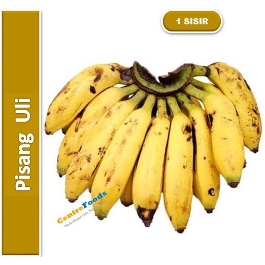 Buah Pisang Uli - Pisang Raja Uli | 1 Sisir [ Harga Per SISIR ]