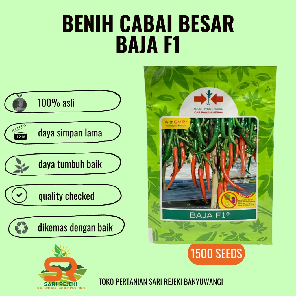 BENIH CABE BESAR BAJA F1 PANAH MERAH