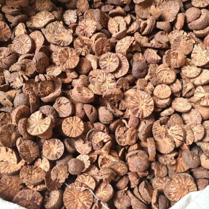 

Terbaru ハ Pinang Muda Iris Kering 500gr - Jambe Muda Iris Kering