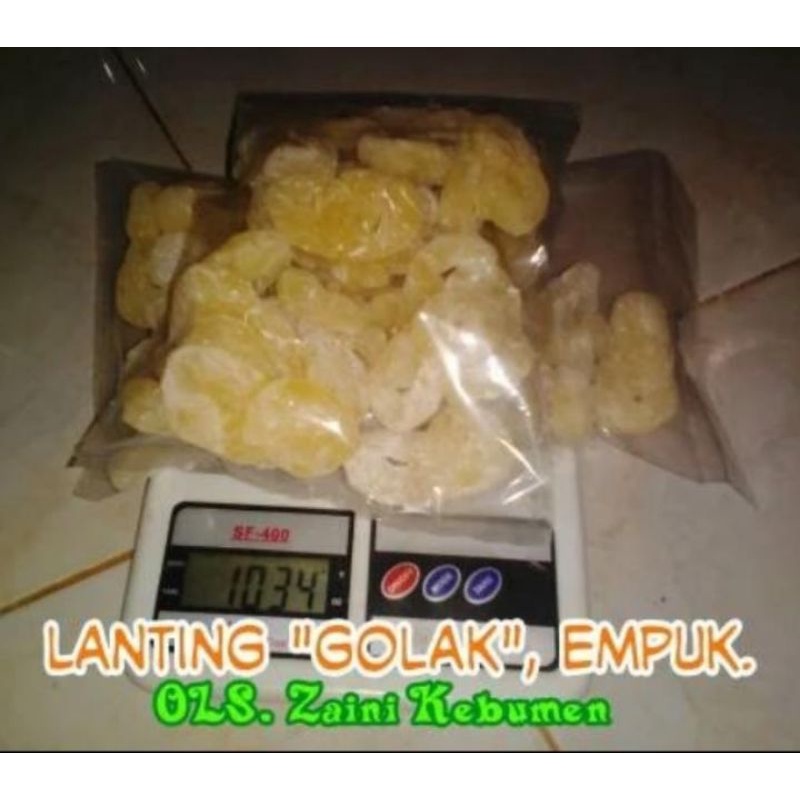 

Lanting GOLAK Gembus singkong Premium 500 gram, Gurih empuk camilan Khas Kebumen