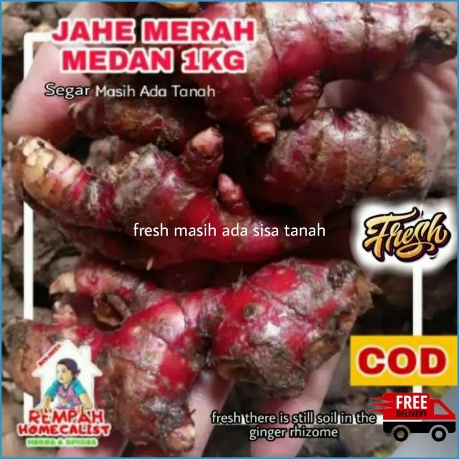 

jahe merah medan segar 1kg Kualitas Bagus