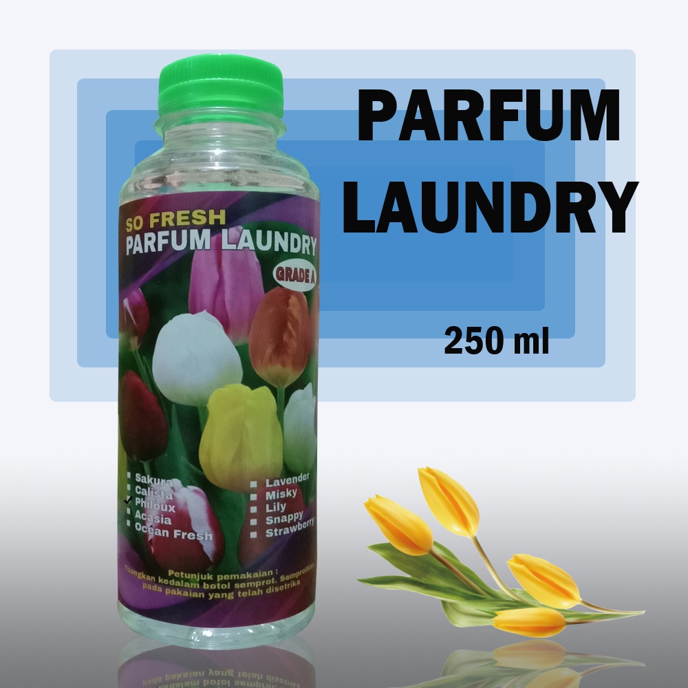 PARFUM LAUNDRY AROMA PHILOUX 250 ML