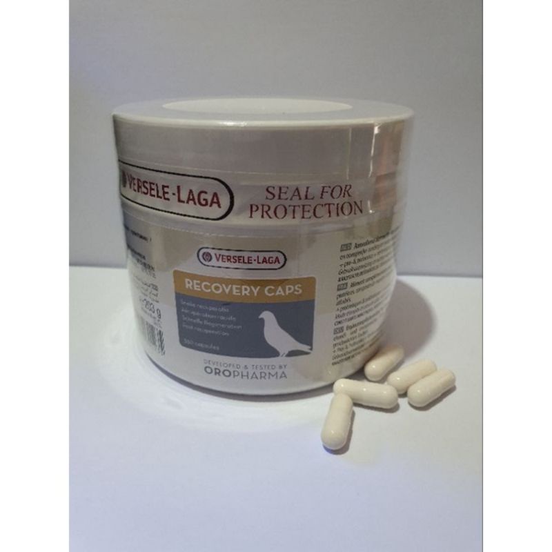 Recovery caps verselelaga vitamin merpati harga satuan