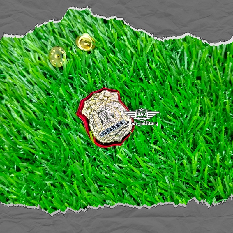 PIN KEWENANGAN POLRI KECIL